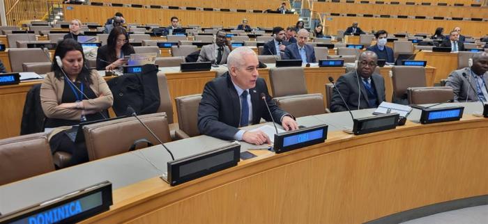 Comité Especial de Descolonización de la ONU