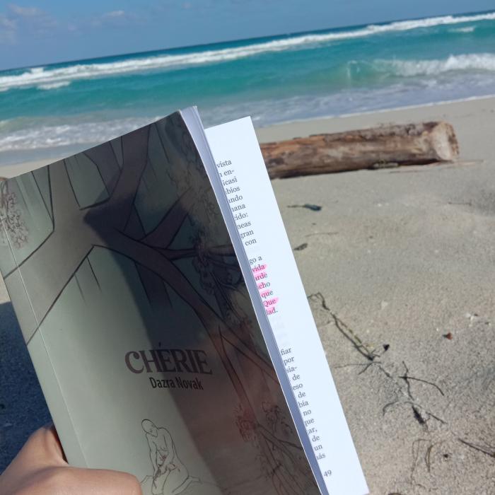 Chérie pudiera resumirse como una indagación sobre la belleza, y el precio a pagar por la sensibilidad hacia ella. Foto de la autora