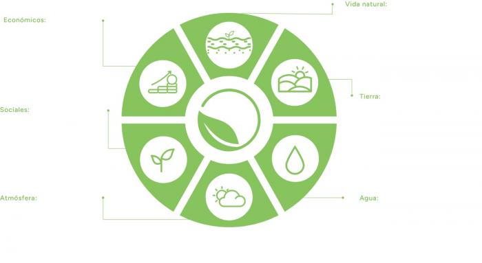 La remoción de carbono es escencial para la preservación del ecosistema