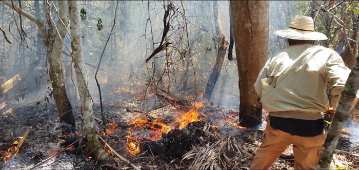 Incendios Forestales en Pinar del Río