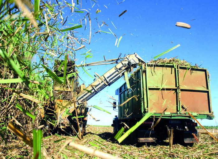 «Hay que guapear y moler para hacer una buena zafra», convocó el Presidente. foto: Pastor Batista Valdés