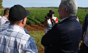 Miguel Díaz-Canel Bermúdez recorre polos productivos de Camagüey