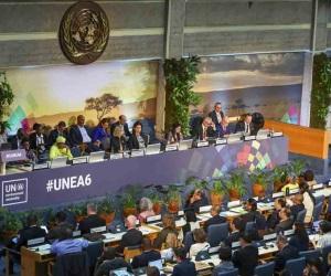 La ONU aprueba resolución cubana sobre la caña de azúcar
