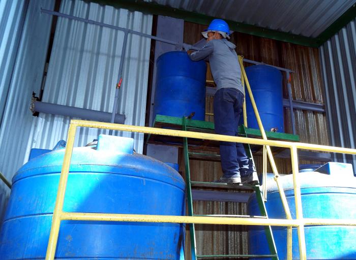 Apuesta empresa azucarera por bioestimulante Lebame › Cuba › Granma ...