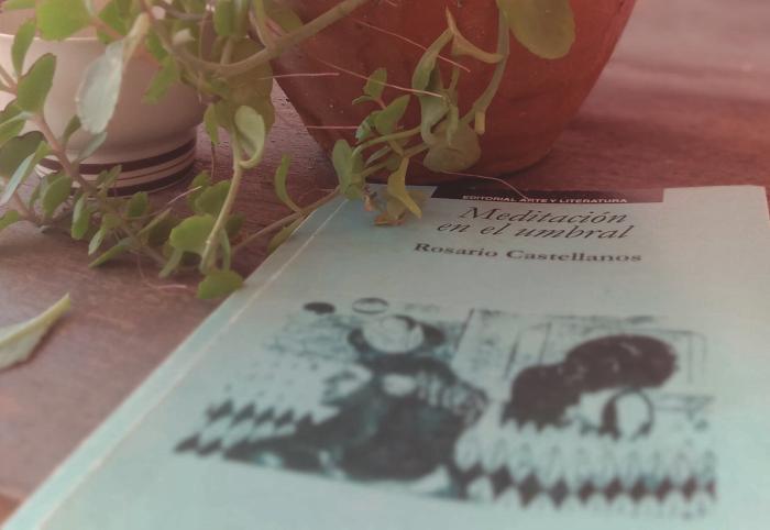 Meditación en el umbral une narrativa y poesía, para facilitar un acercamiento a la obra de Rosario Castellanos. 
