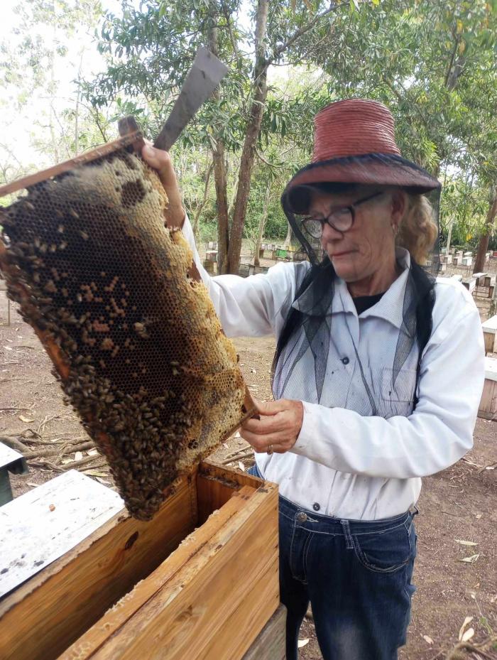 Por su pasión y el amor que pone a la profesión, Olga Lidia es una de las criadoras que logran abejas reinas de mayor dimensión en Cuba.