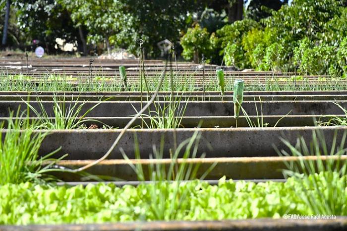 Agroecología