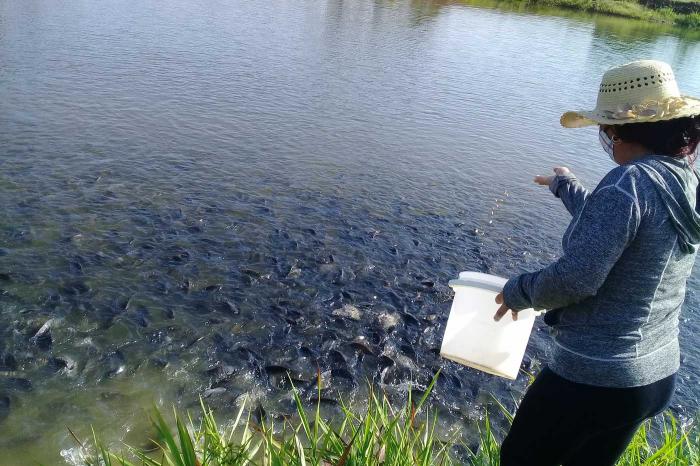 En el programa de desarrollo de la acuicultura se recuperó, desde 2020 hasta la fecha, 368 hectáreas en la actividad acuícola