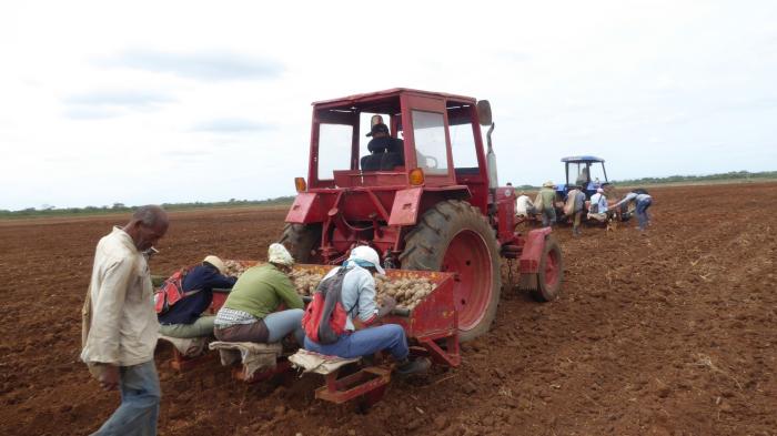 agricultura