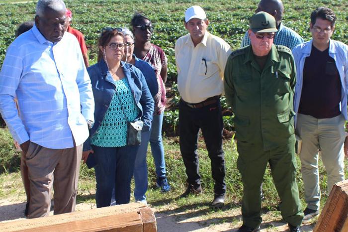agricultura