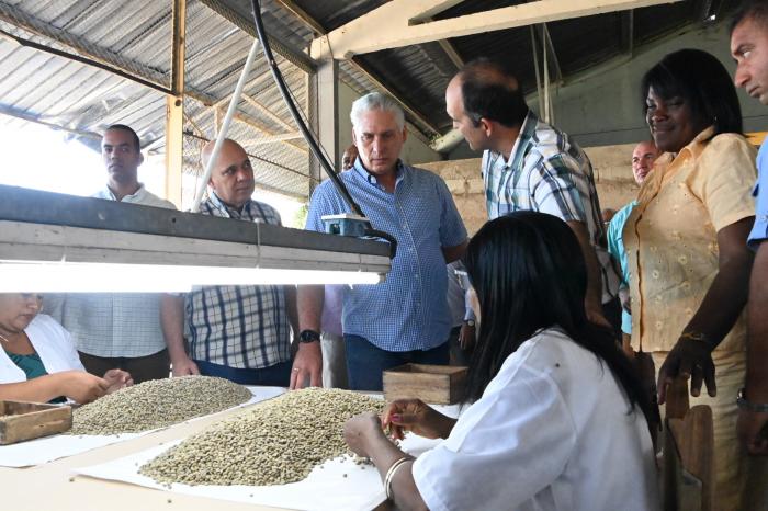 La procesadora de café Rolando Ayub, en el municipio santiaguero de Contramaestre, es la mayor de las cuatro de su tipo en Cuba. foto: Estudios Revolución