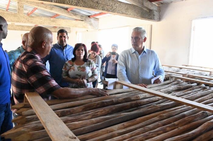 El Presidente cubano aseguró que la Empresa Agroforestal Guanahacabibes, en Sandino, es una entidad «con cultura, con resultados, pero hay que seguir haciendo más». Foto: Estudios Revolución