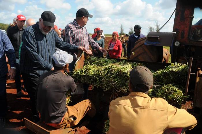 Pese a las limitaciones con los recursos, se trata de ser más productivos, cumplir con el objeto social
de la entidad. FOTO: JOSÉ M. CORREA