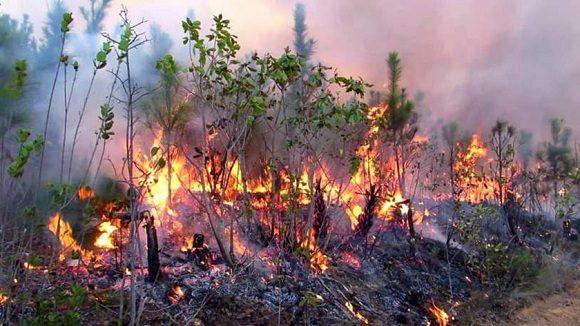 Incendio Forestal en Pinar del RÍO