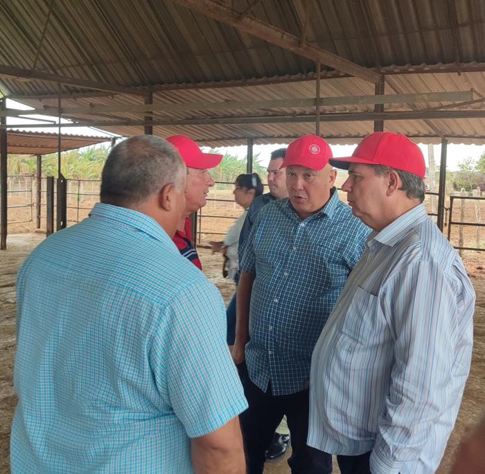 Cooperativa de Crédito y Servicios (CSS) José Antonio Echevarría