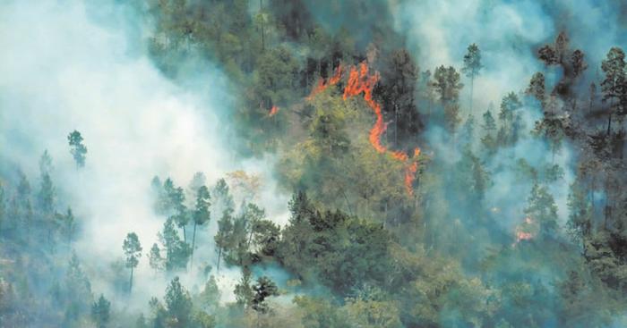Incendios como el ocurrido en Pinares de Mayarí, en 2023, demuestran la necesidad de mantener las medidas de seguridad y protección. Foto: ACN