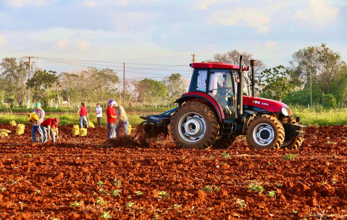 El trabajo como valor primordial de nuestra sociedad es un derecho y deber social. Foto: Alejandro Azcuy.