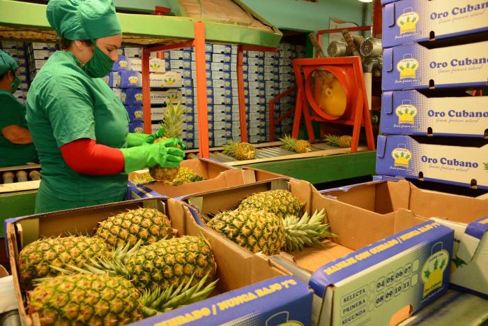 No conocer la cultura del país en que se enfoca una posible exportación puede derivar en quejas
y reclamaciones. FOTO: OSVALDO GUTIÉREZ GÓMEZ