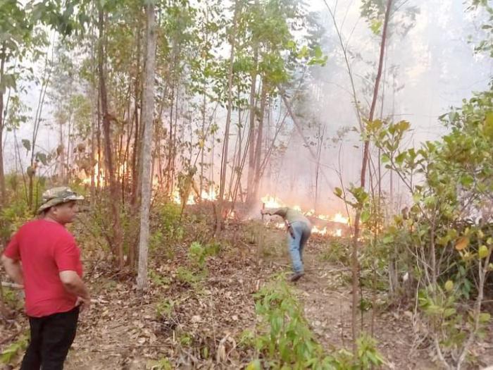 Cálculos preliminares estiman que unas 385 hectáreas resultaron afectadas.foto Tomada del Facebook de Asdrúbal Cordero