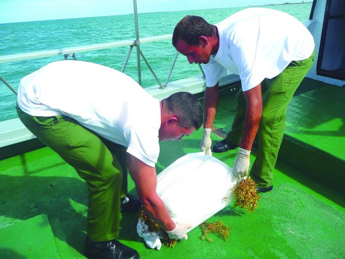 La situación geográfica de Cuba provoca que siempre estemos bajo la influencia de la actividad 
de narcotráfico. foto: Ortelio González Martínez
