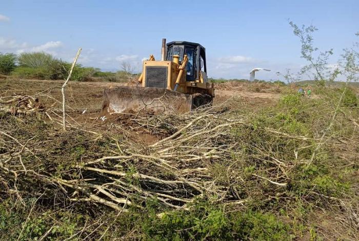 La Jabilla; ataca el buldócer; el marabú se derrumba