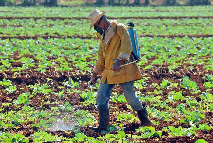 CCS Frank Paìs  del Municipio Guira de melena en la Provincia de Artemisa