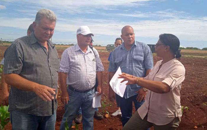 Visita Viceprimera ministra