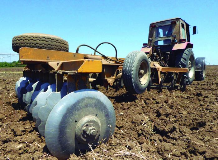 La producción de alimentos en el territorio podría ser mayor si se siembran todas las áreas disponibles 
y continúa la entrega de tierras estatales ociosas. foto del autor