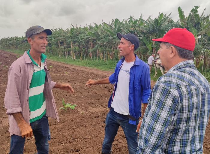 Sembrar para aprovechar la primavera