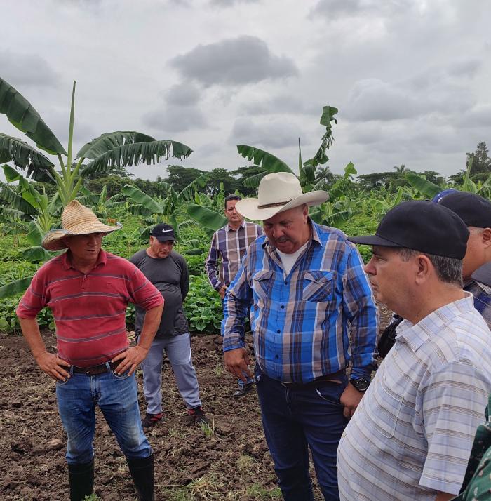 Sembrar sin mirar para atrás