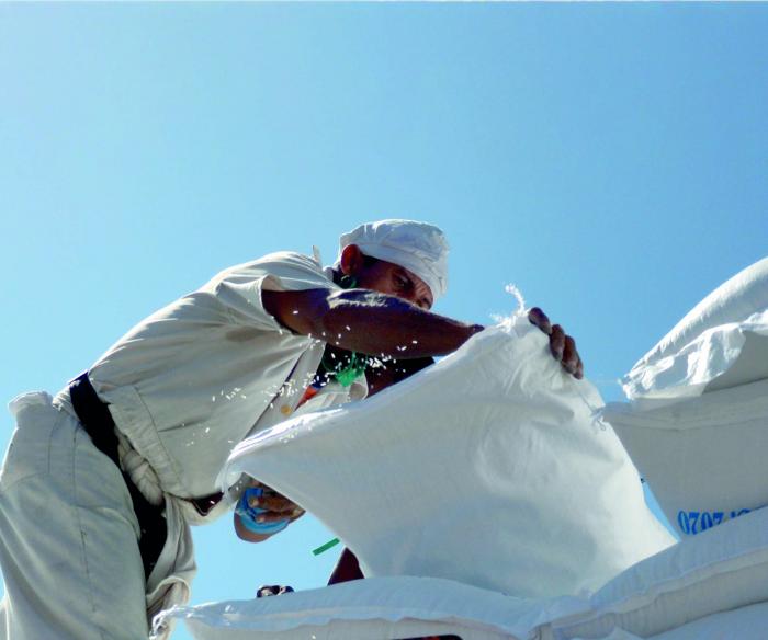 Alpinistas de almacenes