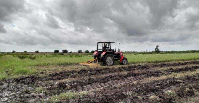 Disponibilidad de cultivos en los campos