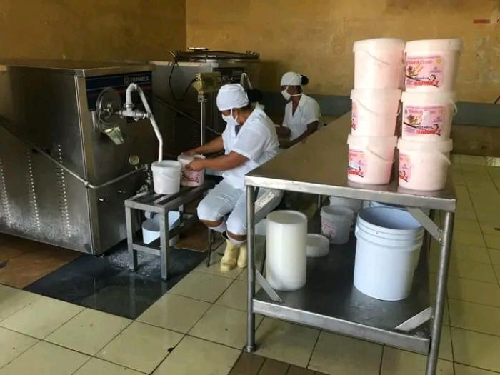 Las líneas de productos contienen helados, yogures, natillas, refrescos instantáneos, así como los jugos de frutas concentrados hasta llegar a unos 40. 