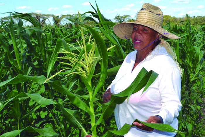 Darle comida al pueblo es la motivación de Betty para continuar trabajando. cortesía de la entrevistada
