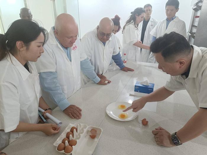 Tapia Recorrido China