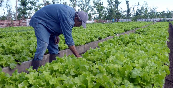 agricultura