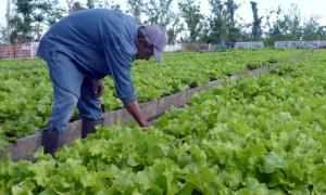 Empresa de Acopio Pinar del Río