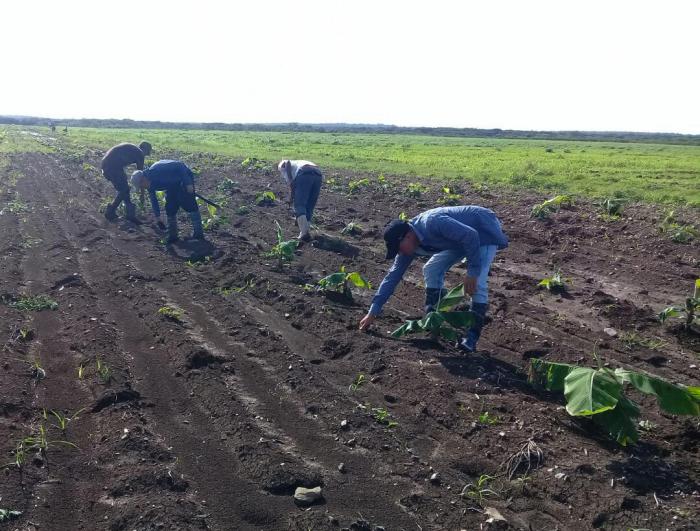 Polo Productivo Melanio Ortiz