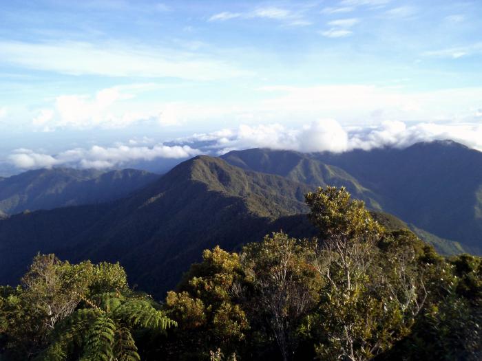 El programa prevé visitas a sitios emblemáticos como el Gran Parque Nacional Sierra Maestra. 
FOTO: Osbel Sabiel Silva Licea