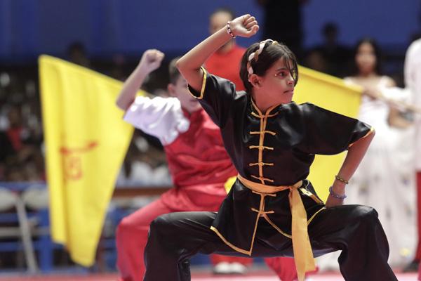 Se acrecienta la colaboración en artes marciales 