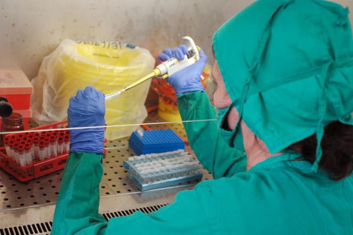Laboratorio de Virologia
Foto: Ismael batista 19/04/2010
Lrio0064
