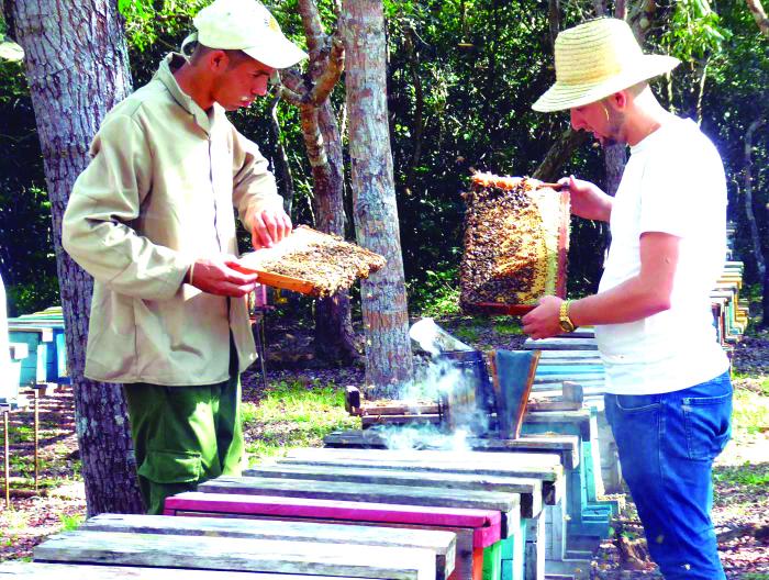 La producción de rubros exportables necesita multiplicarse. foto: Ronald Suárez Rivas