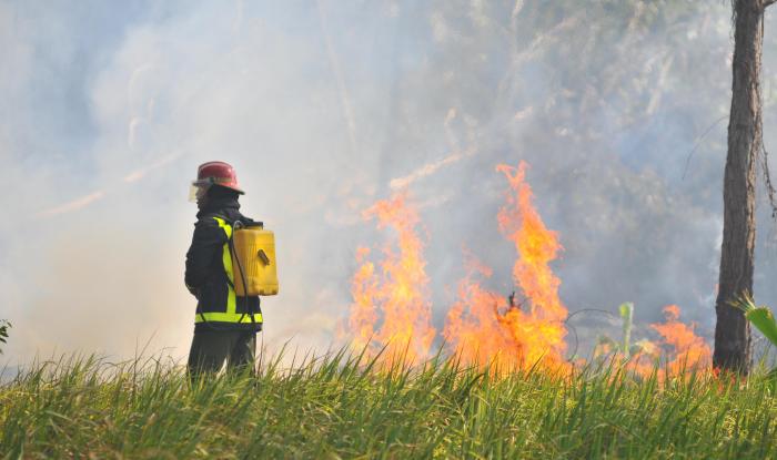 Más allá del plano económico, desde el punto de vista ambiental los efectos de los incendios también son dramáticos. Foto: Ricardo López Hevia
