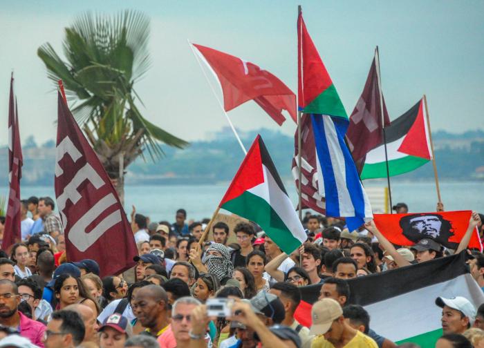 Marcha por la libertad de Palestina y contra el genocidio