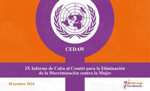 Informe ante el Comité para la Eliminación de la Discriminación
