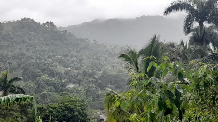 La lluvia casi no ha dejado de caer en estas lomas desde el huracán. foto del autor