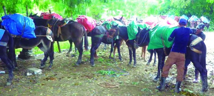 Una cuadrilla esperaba carga en Imías.