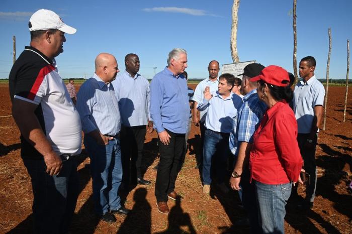 Matanzas busca triplicar la producción tabacalera en el territorio