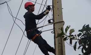 linieros Artemisa