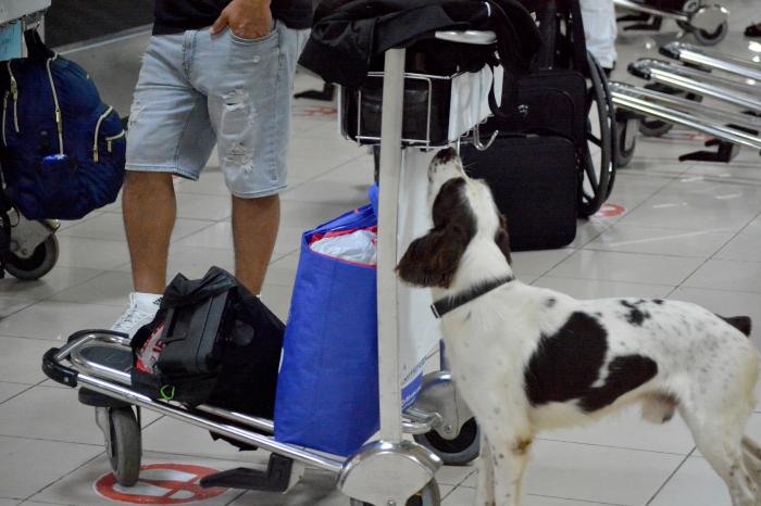 Cuba-Areopuerto-Migracion y Aduana